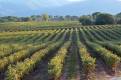 chateaudesbertrands-domaine-viticole-provence-180884
